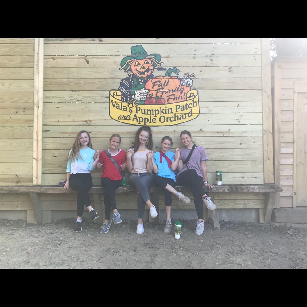 Meet your Posher, Taylor